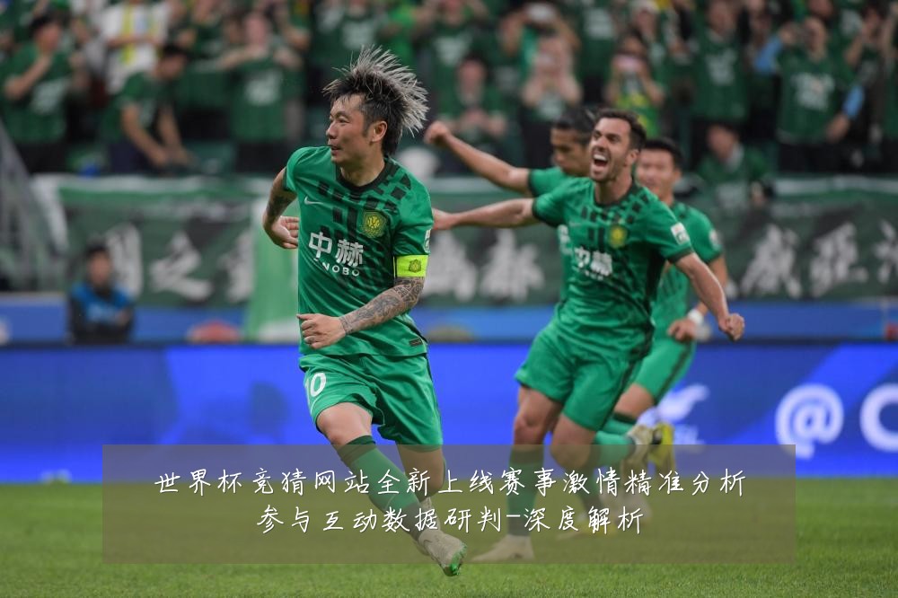 世界杯竞猜网站全新上线赛事激情精准分析参与互动数据研判-深度解析